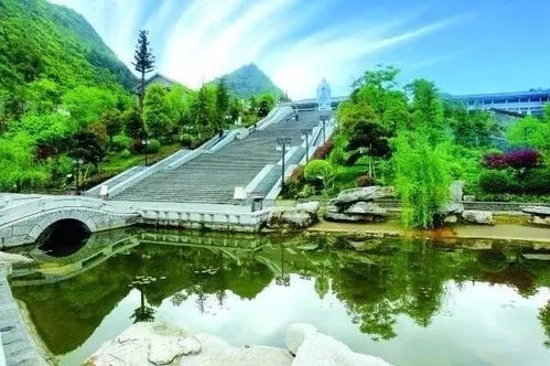 數說花溪五年發展 國內旅游業務邁向新高度